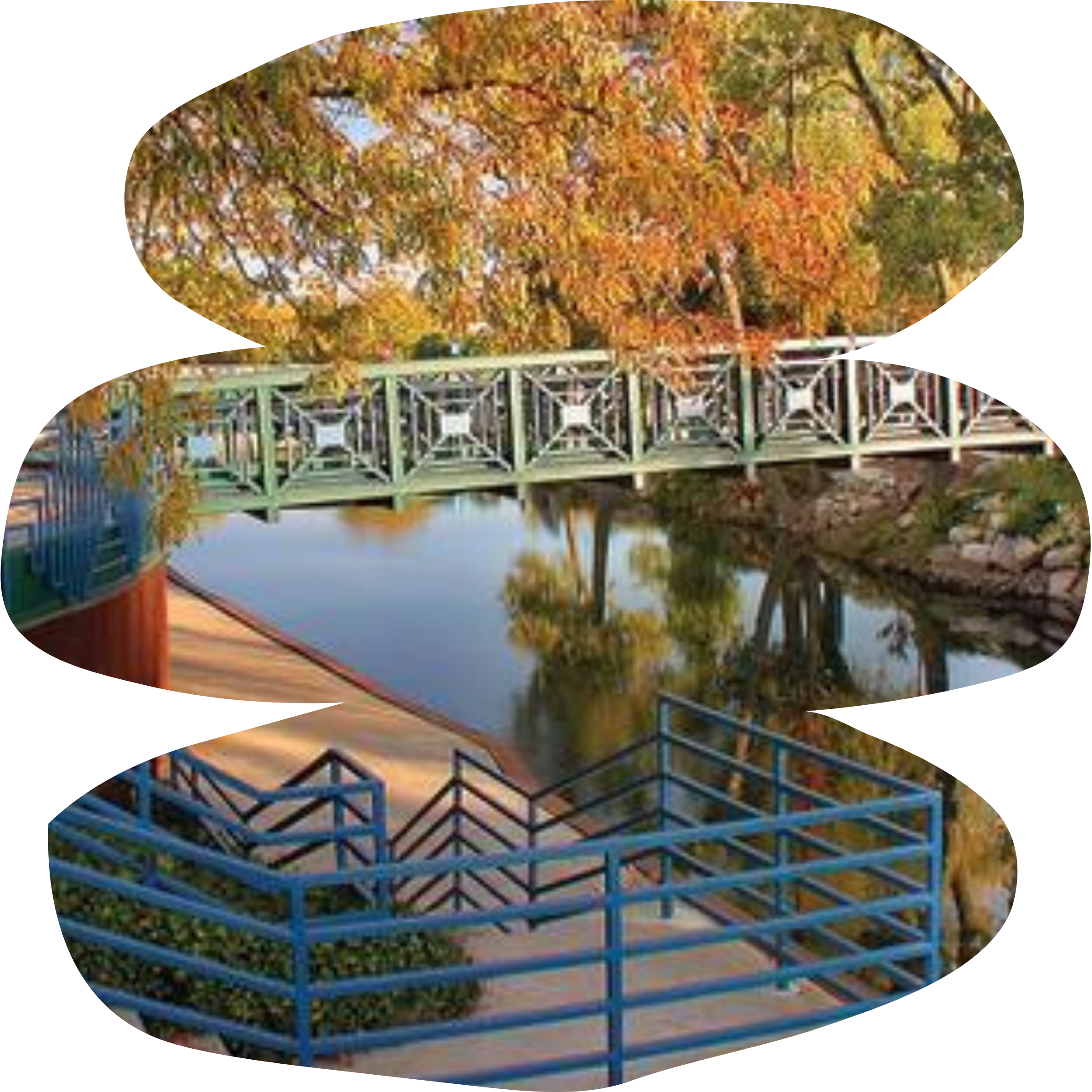 Laine Griffey in Elkhart